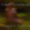 Cougars fucking
