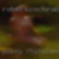 Pussy Rhinelander